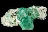 Green Fluorite Crystal Cluster - South Africa #111567-1